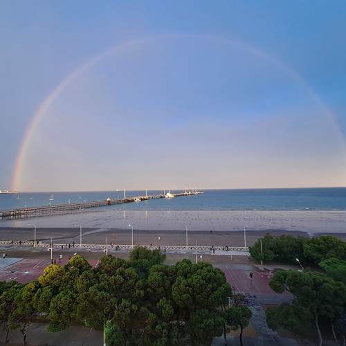Madryn.