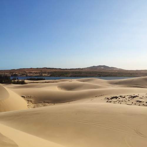 Photo #10858976