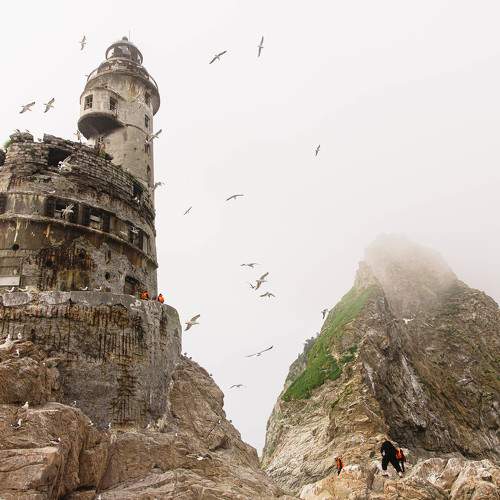 Photo #10859249