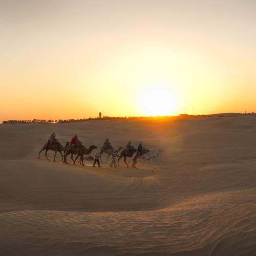Photo #10859273