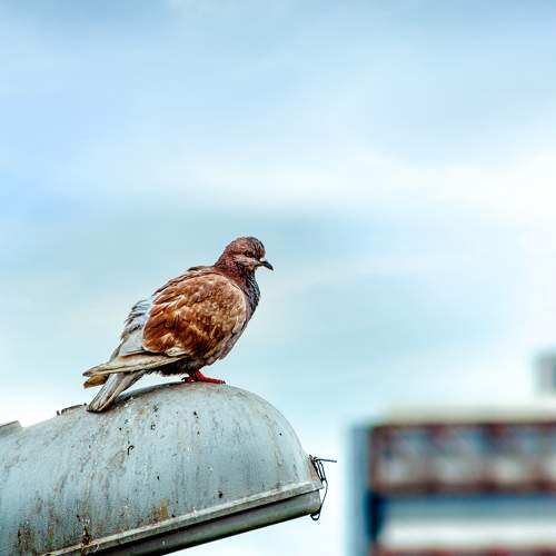 Photo #10859359