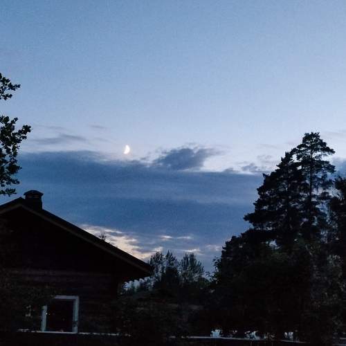 Photo #10859647
