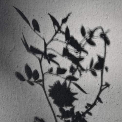 Фотография #10860156