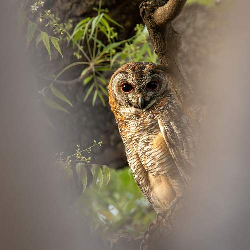 Photo #10860206