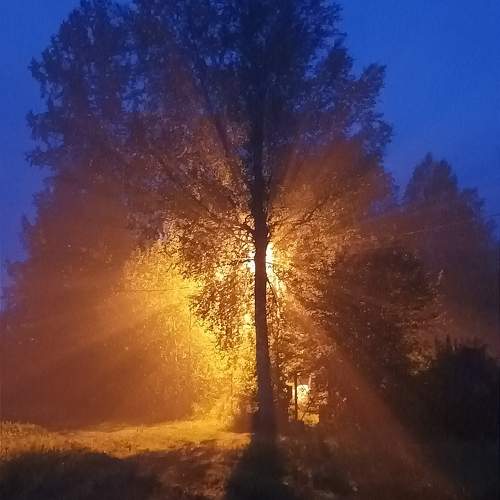 Photo #10860211