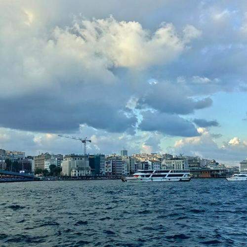 Photo #10860397