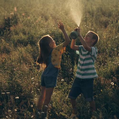 Photo #10860526