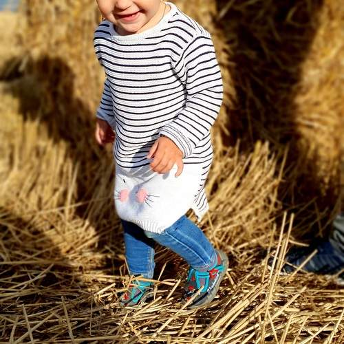 Photo #10860664