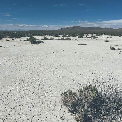 Photo #10860709