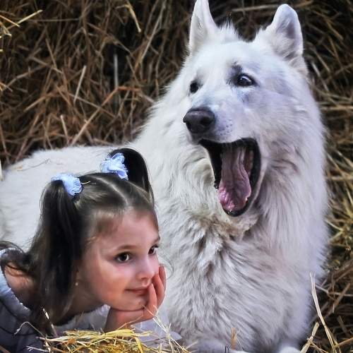 Photo #10861438