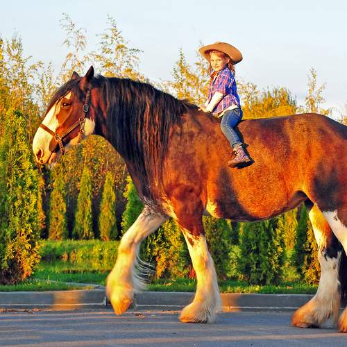 Photo #10861442