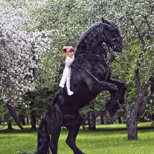 Photo #10861447