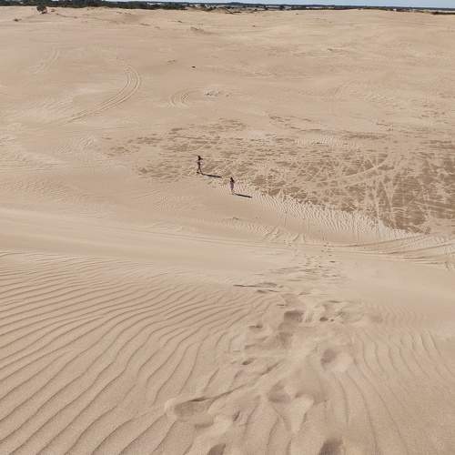 Photo #10861611