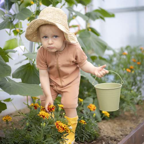 Photo #10861627