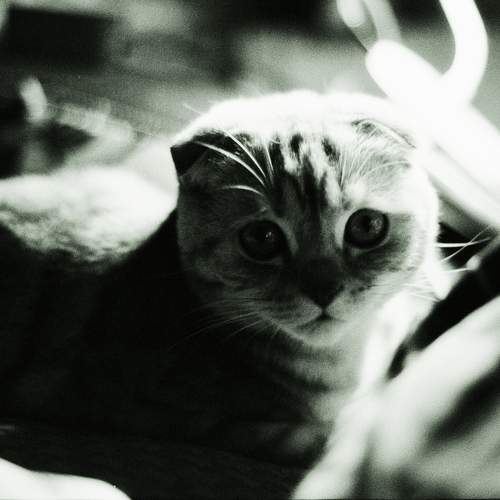Photo #10861662
