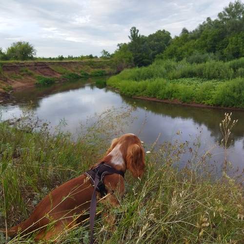 Photo #10861704