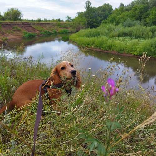 Photo #10861706