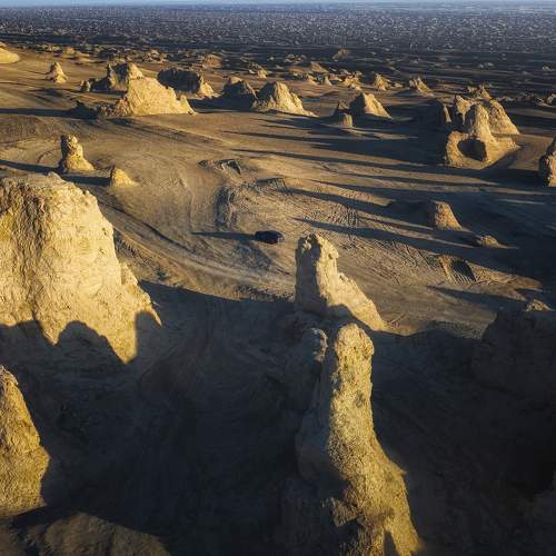 Photo #10861784