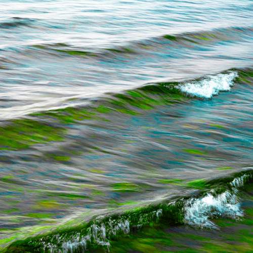 Caresses water love.