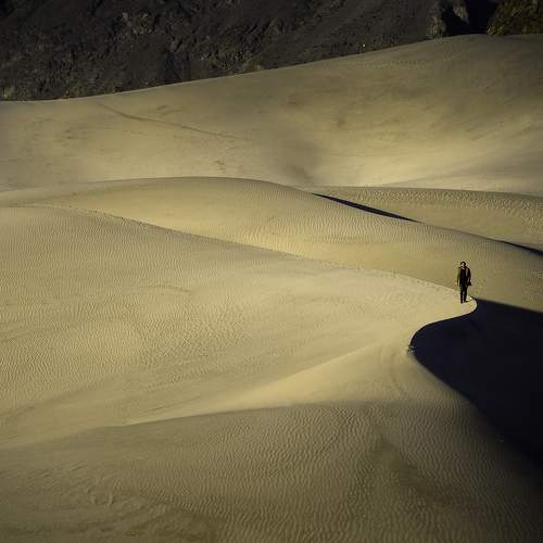 Photo #10861846