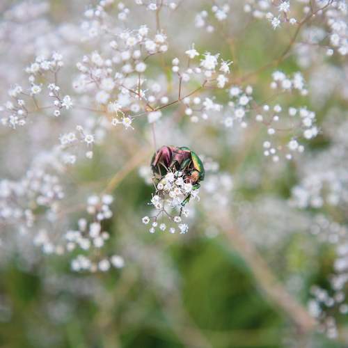 Photo #10862185
