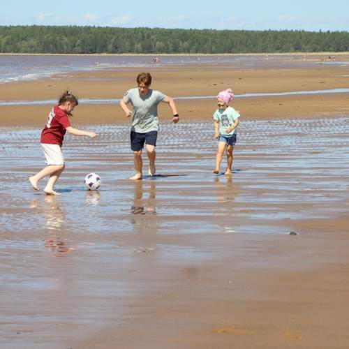 Photo #10862368