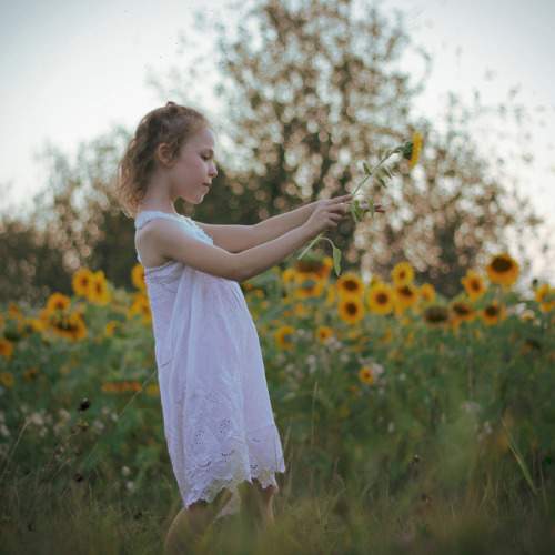 Photo #10862528