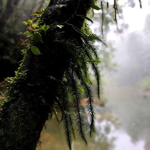 Photo #10862836