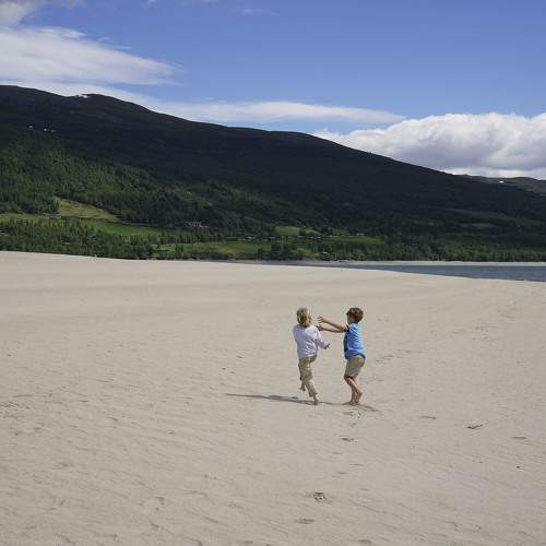 Photo #10862995