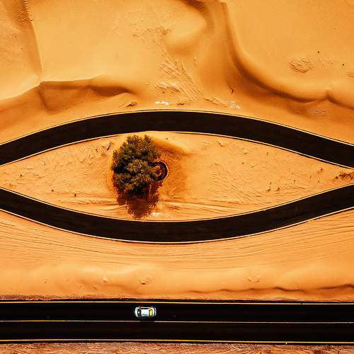 Photo #10863076
