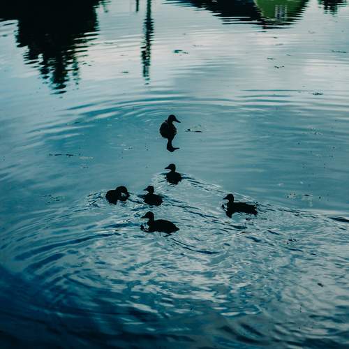 Photo #10863307