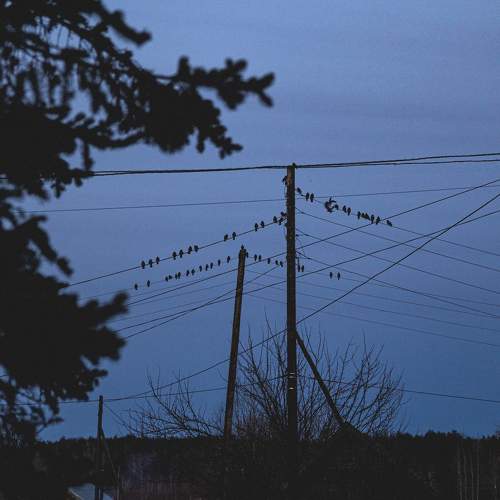 Photo #10863314