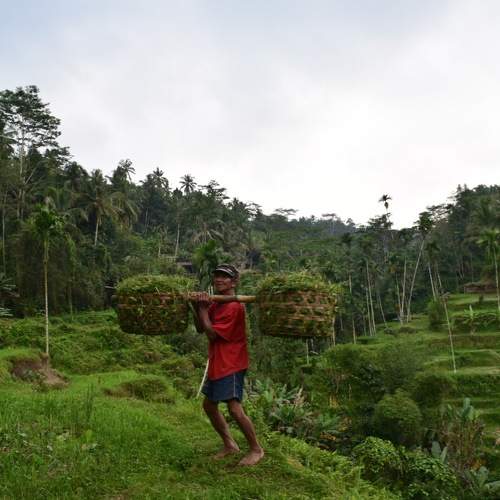 Photo #10863613