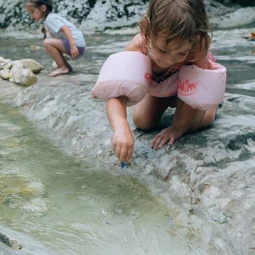 Photo #10863692