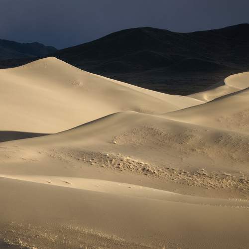 Photo #10864268