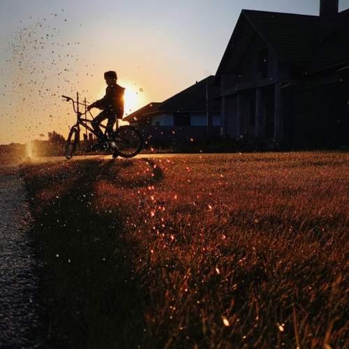 Photo #10864269