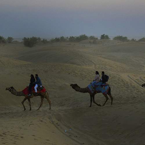 Photo #10864316