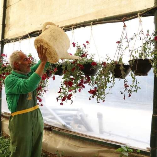 Photo #10864330