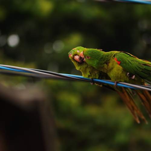 Photo #10864565