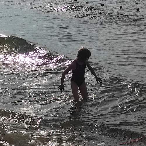 Photo #10864952