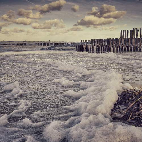 Cadzand haven