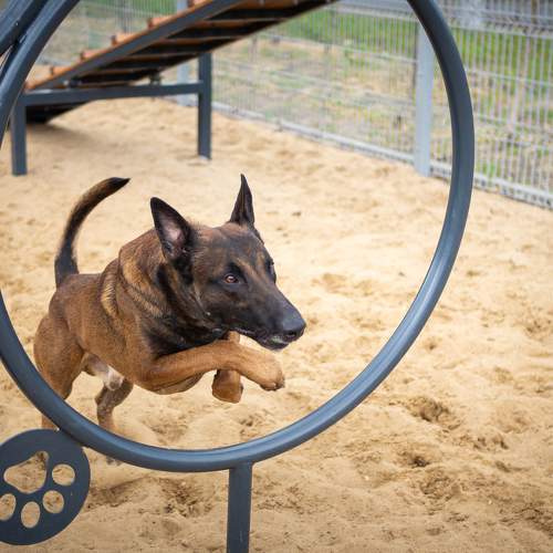 Photo #10865366