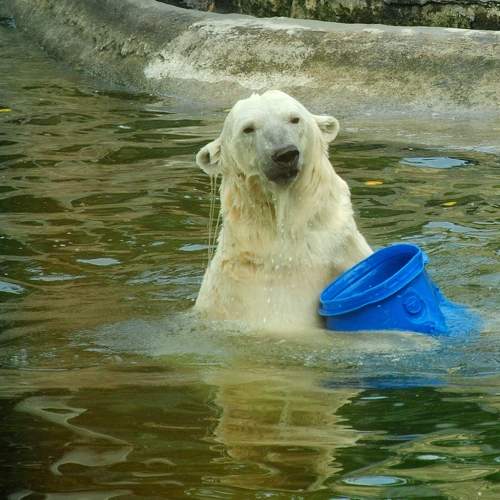 Photo #10865406