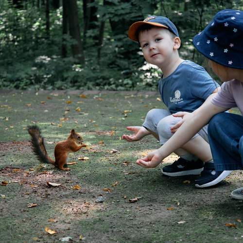 Photo #10865513