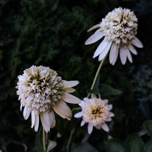 Photo #10865557