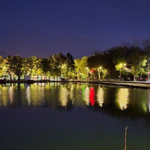 Photo #10865689
