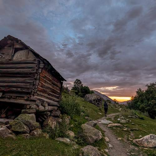 Photo #10865824