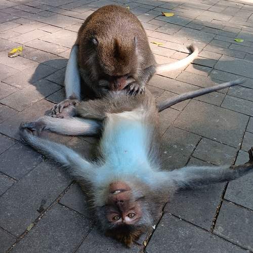 Photo #10865946