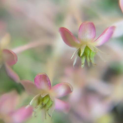 Photo #10866169