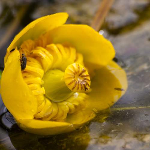 Photo #10866262